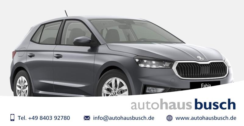 Skoda Fabia Top Selection